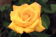 x07.JPG (4855 bytes)