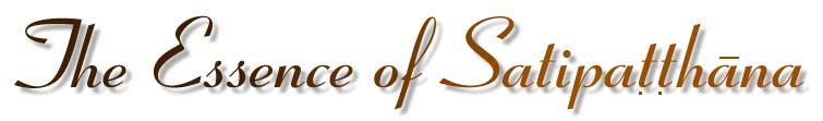 essence.JPG (13662 bytes)
