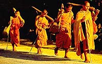 wat004.JPG (12246 bytes)