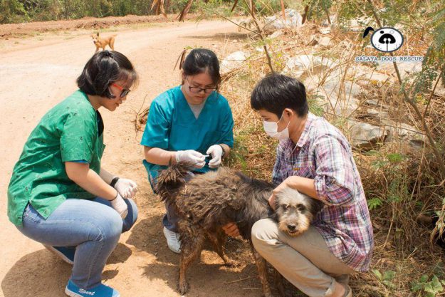 13153410_10205643259151869_2064948473_n