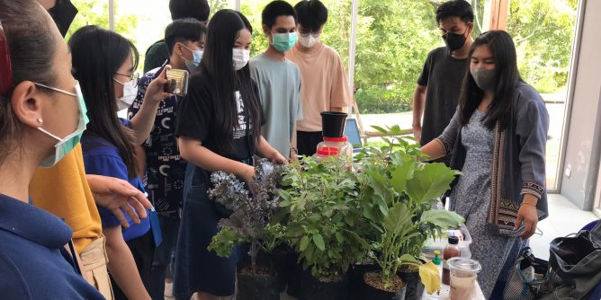 301992093_496595215807146_5667534503323353274_n